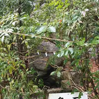 葛城一言主神社の写真・動画_image_291477
