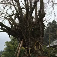 葛城一言主神社の写真・動画_image_291478