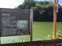 隼人塚古墳(雄略天皇陵陪塚い号)の写真・動画_image_291481