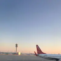 仁川国際空港/Incheon International Airport/인천국제공항の写真・動画_image_292546