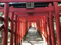 姫丸稲荷大明神の写真・動画_image_292568