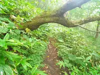 上大石神ピラミッドの写真・動画_image_29259