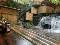 ひろ文川床の写真・動画_image_292645