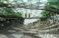 シンガポール・チャンギ国際空港（Singapore Changi International Airport）の写真・動画_image_292757