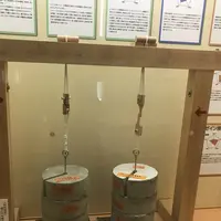 木材・合板博物館の写真・動画_image_293152