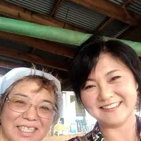 明野のひまわり畑の写真・動画_image_293218