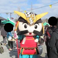 姫路市の写真・動画_image_293420