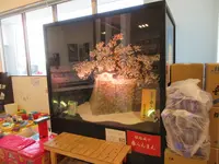 姫路まえどれ市場 （【旧店名】姫路とれとれ市場） の写真・動画_image_293422