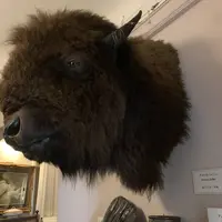 ベンの家の写真・動画_image_293858