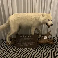 ベンの家の写真・動画_image_293860