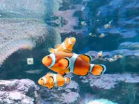 サンシャイン水族館の写真・動画_image_294067