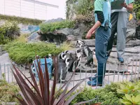 サンシャイン水族館の写真・動画_image_294072