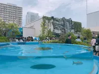 サンシャイン水族館の写真・動画_image_294073