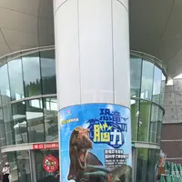 福井県立恐竜博物館の写真・動画_image_294177