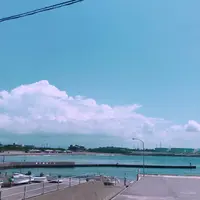 かもめ通りの写真・動画_image_294197