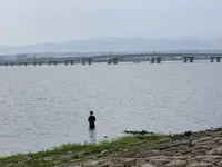 琵琶湖の写真・動画_image_294377