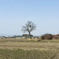 古宮遺跡(伝推古天皇小墾田宮跡)の写真・動画_image_294410
