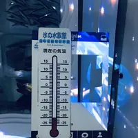 氷の水族館の写真・動画_image_294535