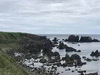 入道埼灯台の写真・動画_image_294626