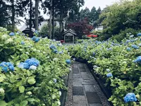 雲昌寺の写真・動画_image_294652