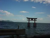 白鬚神社の写真・動画_image_295202