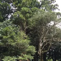 興聖寺の写真・動画_image_295213
