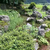 興聖寺の写真・動画_image_295214