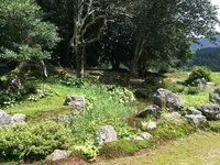 興聖寺の写真・動画_image_295215