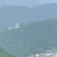 郡上八幡城の写真・動画_image_295392