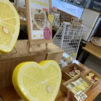 さんぷる工房の写真・動画_image_295400