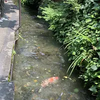 いがわこみちの写真・動画_image_295401