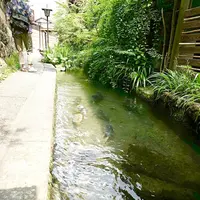 いがわこみちの写真・動画_image_295402