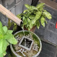 炭火焼うなぎ 魚寅の写真・動画_image_295408