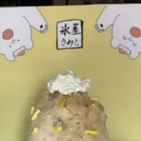 はらじゅく畑の写真・動画_image_295412