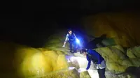 パンプキンホールの写真・動画_image_295840