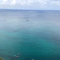 イグアナ岩の写真・動画_image_295847
