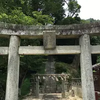 日吉神社の写真・動画_image_296569