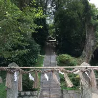 日吉神社の写真・動画_image_296570