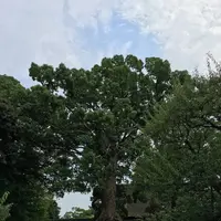 太宰府天満宮の写真・動画_image_296594