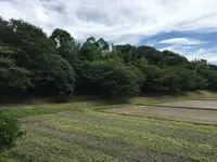 水城跡の写真・動画_image_296597