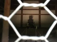 観世音寺の写真・動画_image_296609