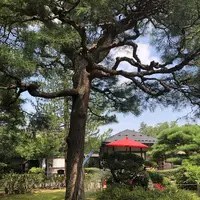 茶室 麟閣の写真・動画_image_296787