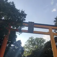 川越氷川神社の写真・動画_image_296816