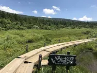 蔵王中央ロープウェイの写真・動画_image_296825