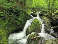 八千穂高原自然園の写真・動画_image_296941