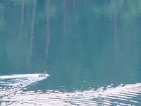 御射鹿池の写真・動画_image_296943