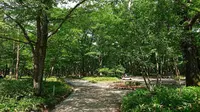 光徳牧場の写真・動画_image_297308