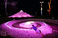 あかん湖 鶴雅ウイングスの写真・動画_image_297466