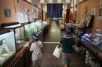 丸瀬布昆虫生態館の写真・動画_image_297471
