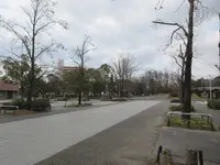 久宝寺緑地の写真・動画_image_297764